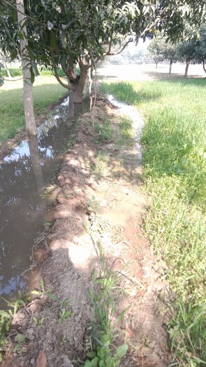 Miscellaneous - Snnd (Al Quwaiiyah)