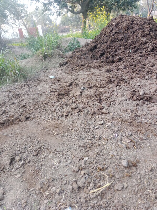 Miscellaneous - Snnd (Al Quwaiiyah)