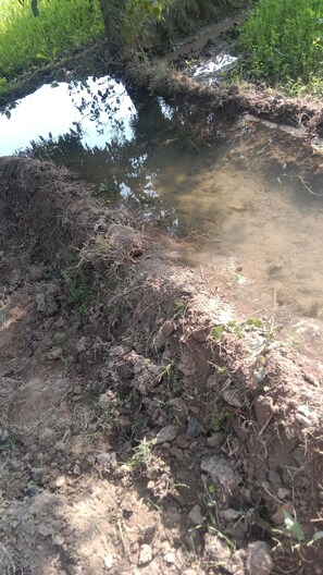 Miscellaneous - Snnd (Al Quwaiiyah)