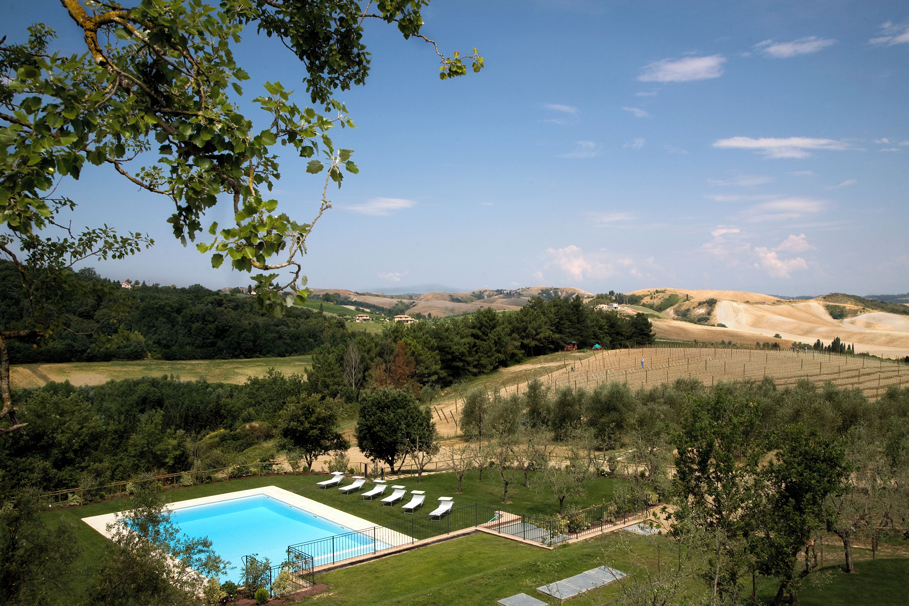Une piscine entourée de chaises longues, bordée d’une pelouse et d’arbres, avec des collines en arrière-plan.