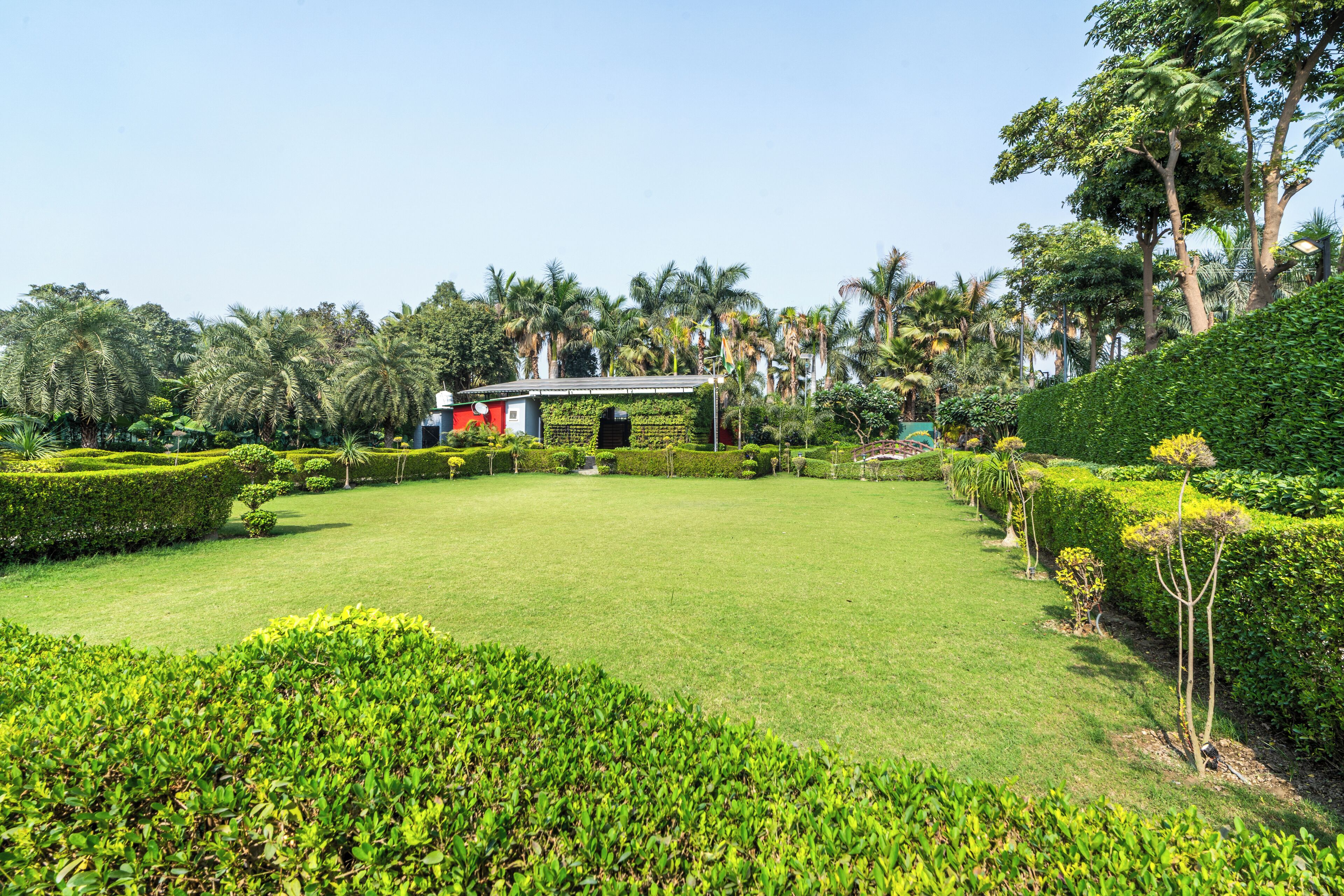 A well-manicured garden with a central lawn, surrounded by neatly trimmed hedges and palm trees.