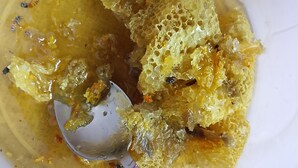 A bowl of honeycomb with a spoon. - Ghgfgg (Singapore)