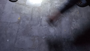 A cat playing with a blue toy on a concrete floor. - Ghgfgg (Singapore)