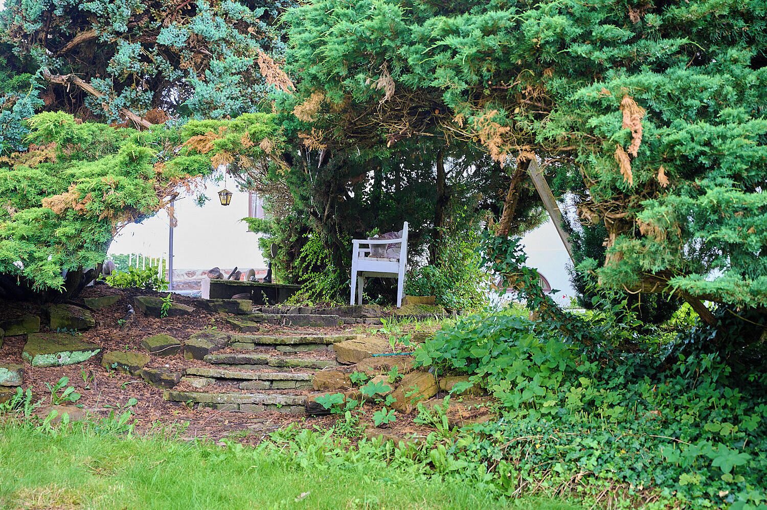 Una escalera de piedra que conduce a un banco blanco bajo un árbol.