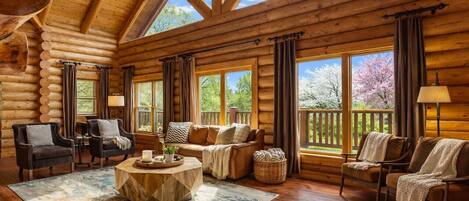 Télévision, cheminée, jeux vidéo, baby-foot