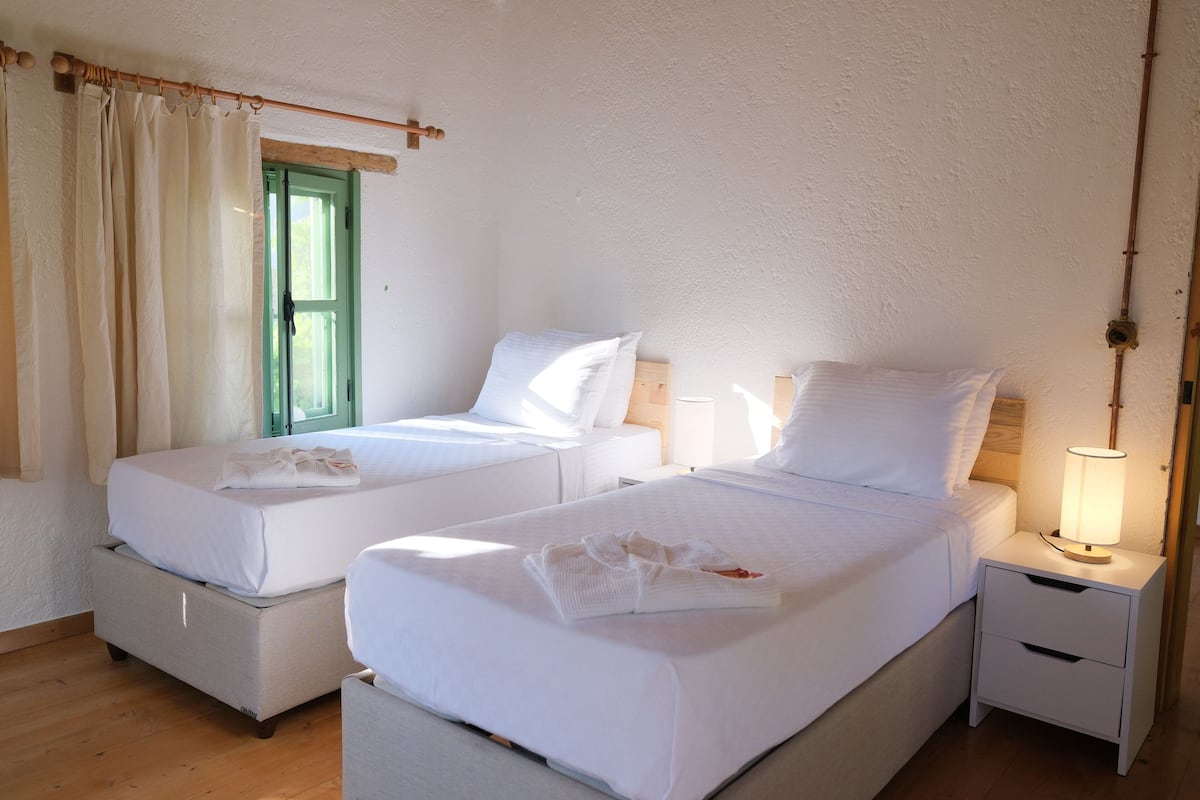 Traditional House, Garden View