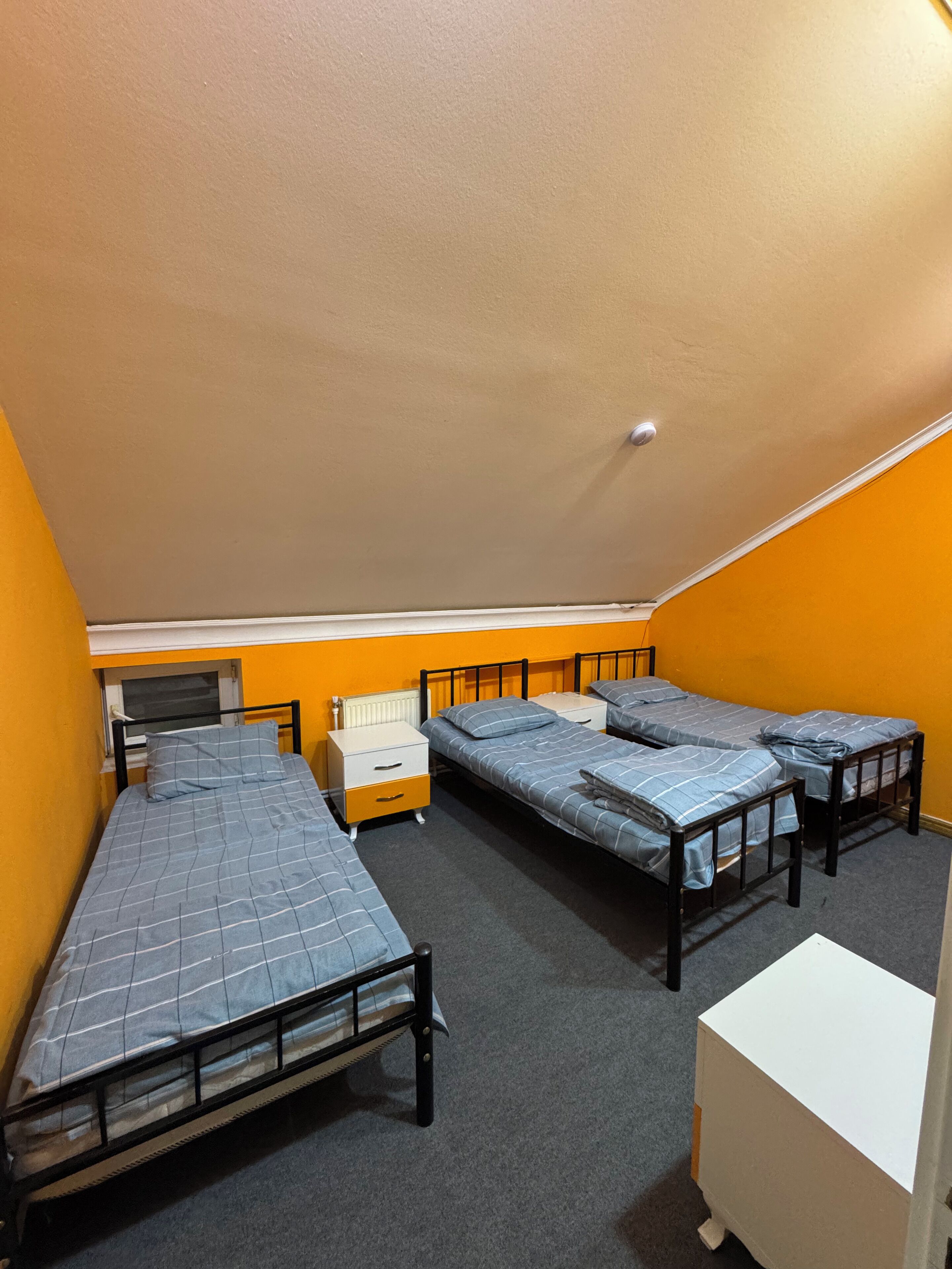 Basic Triple Room, 3 Single Beds