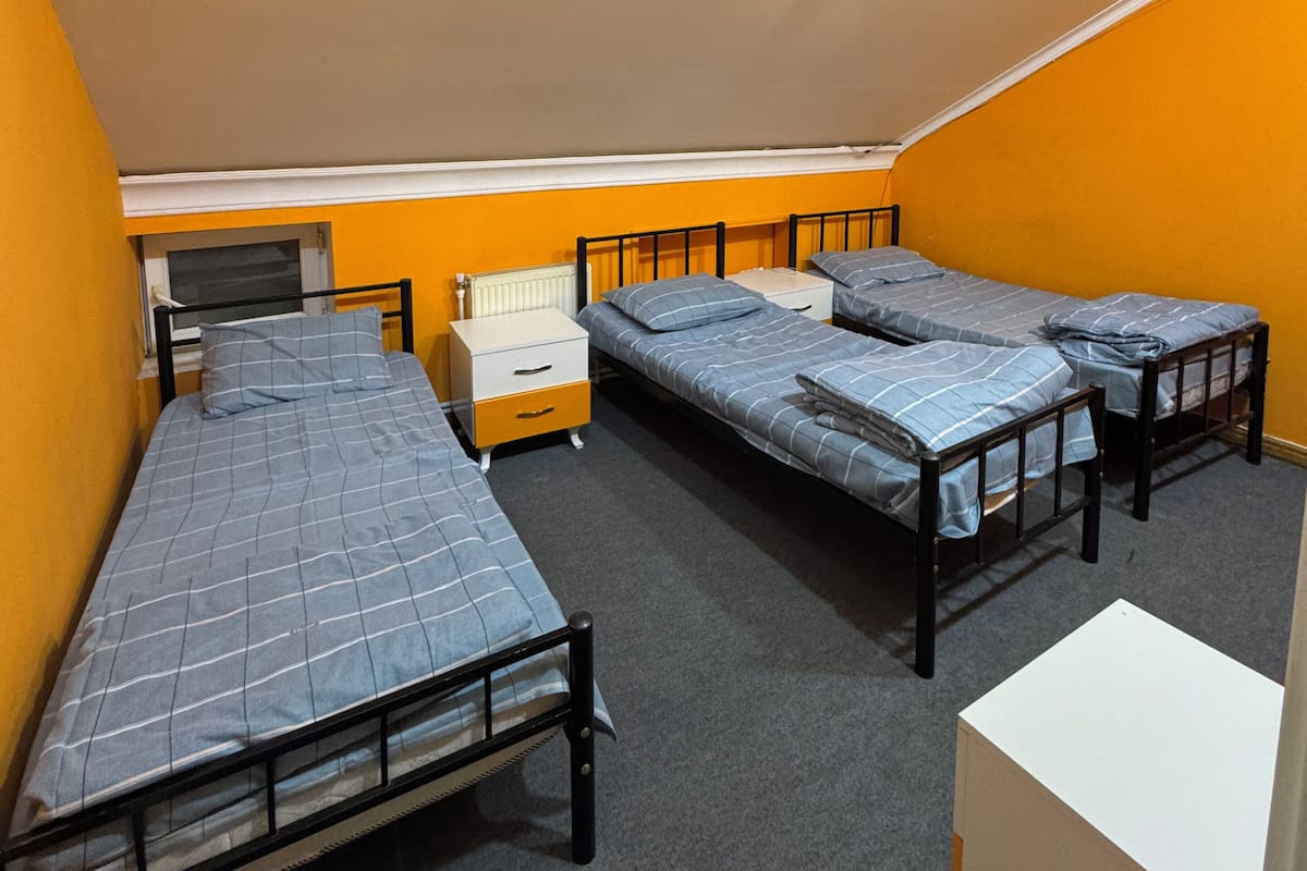 Basic Triple Room, 3 Single Beds | Iron/ironing board, free WiFi