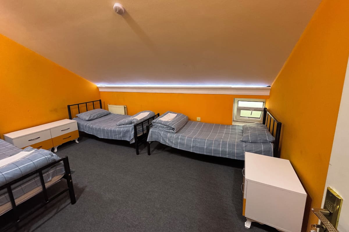 Economy Triple Room, 3 Single Beds | Iron/ironing board, free WiFi