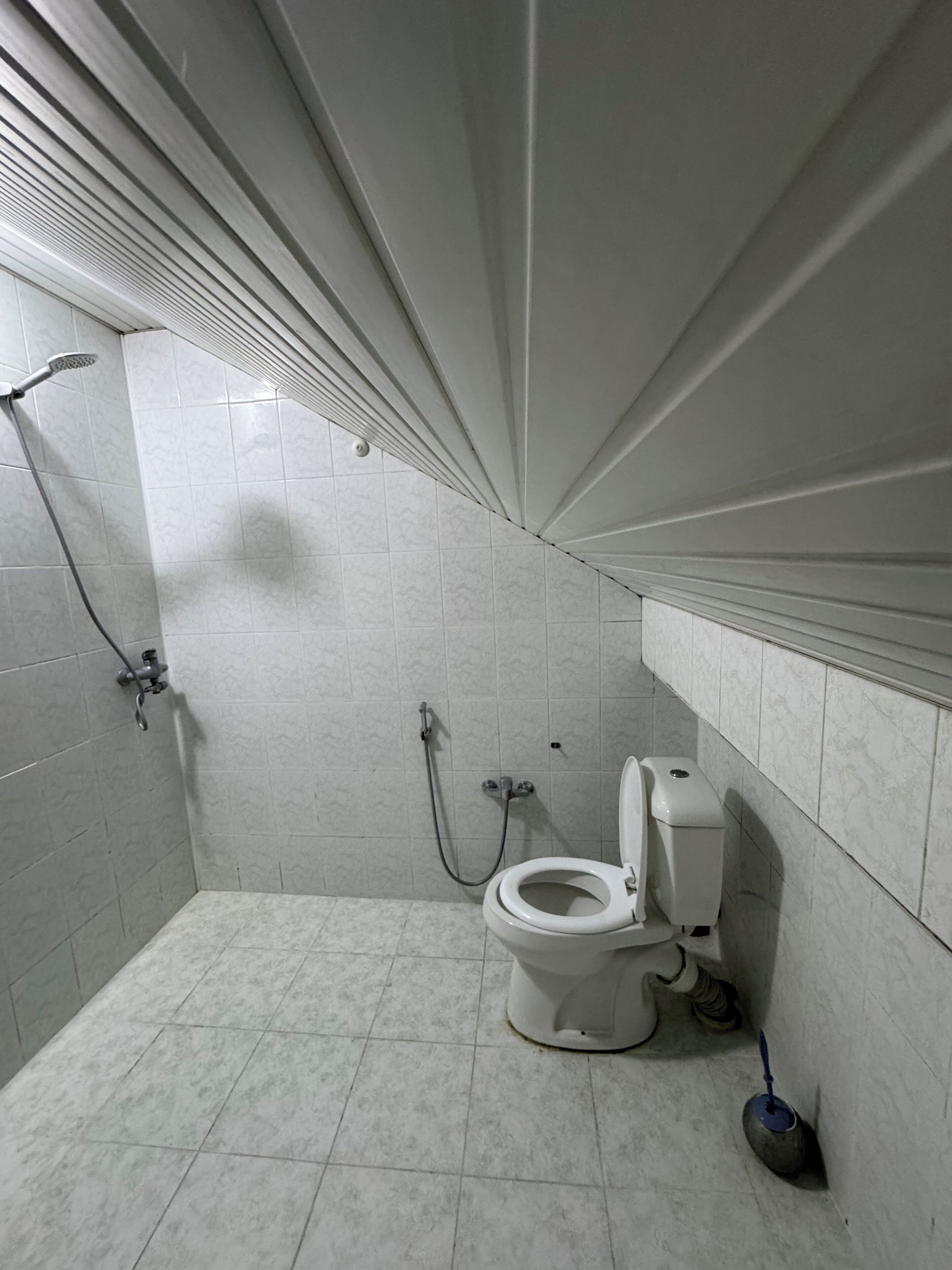 Hair dryer, bidet, towels, soap