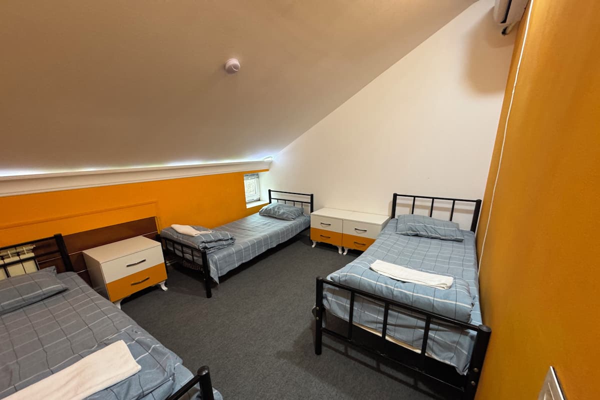 Standard Triple Room, 3 Single Beds | Iron/ironing board, free WiFi
