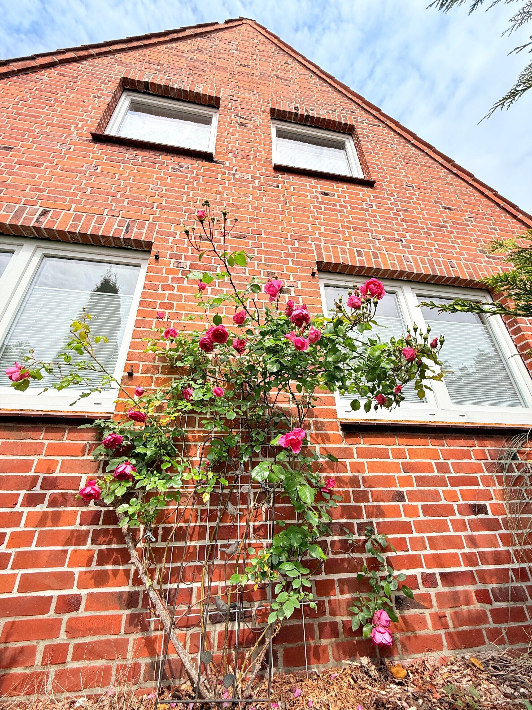 Details aan de buitenkant