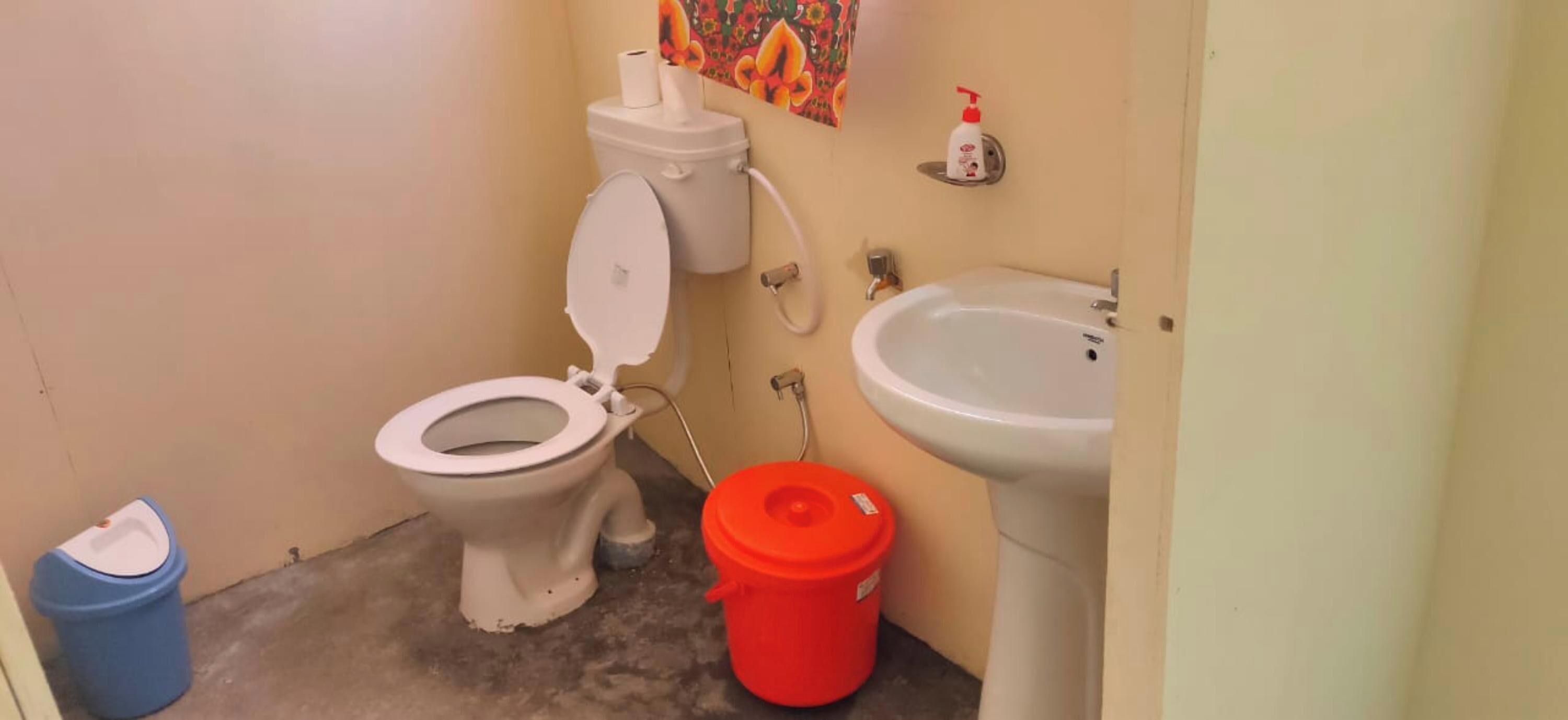 Deluxe Double Room | Bathroom | Free toiletries, towels, soap, shampoo