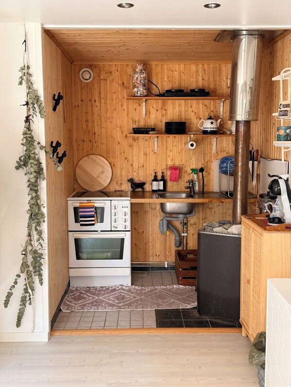 A compact kitchen with wooden walls, a stove, a sink, and a small countertop.