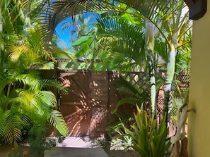Property grounds - Villa Anse à l'Ane 5P 200m from the beach, wooded grounds and punch bowl, (Les Trois-Îlets)