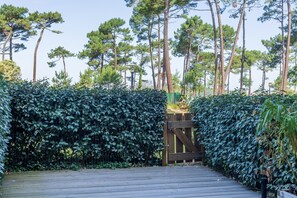 Een houten pad dat door een haag slingert, met hoge bomen op de achtergrond.