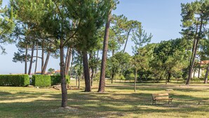 Um parque com um banco, árvores e um arbusto.