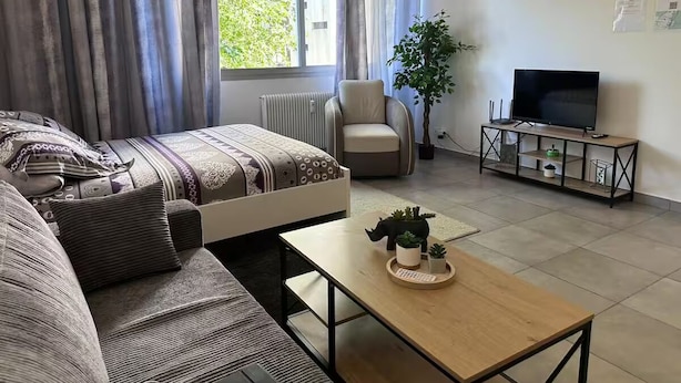 A modern living room with a sofa, armchair, coffee table, TV stand, and a potted plant. - Whole apartment - Studio Noéa (Mâcon)
