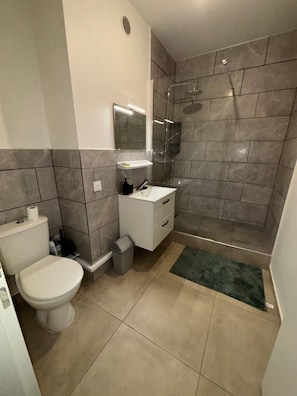 Douche, serviettes fournies, papier toilette