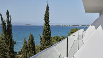 Vista desde la habitación