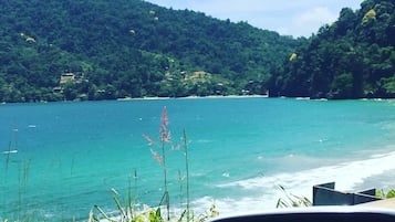 House, 3 Bedrooms, Accessible, Private Pool | Beach