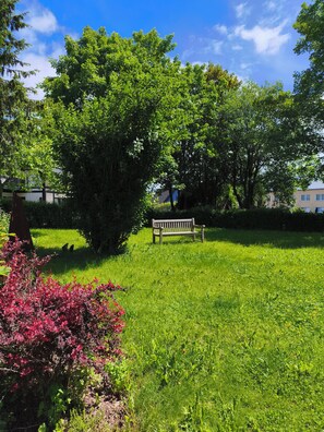 Een park met een bankje, bomen en een gazon.