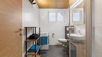 Shower, free toiletries, hair dryer, towels