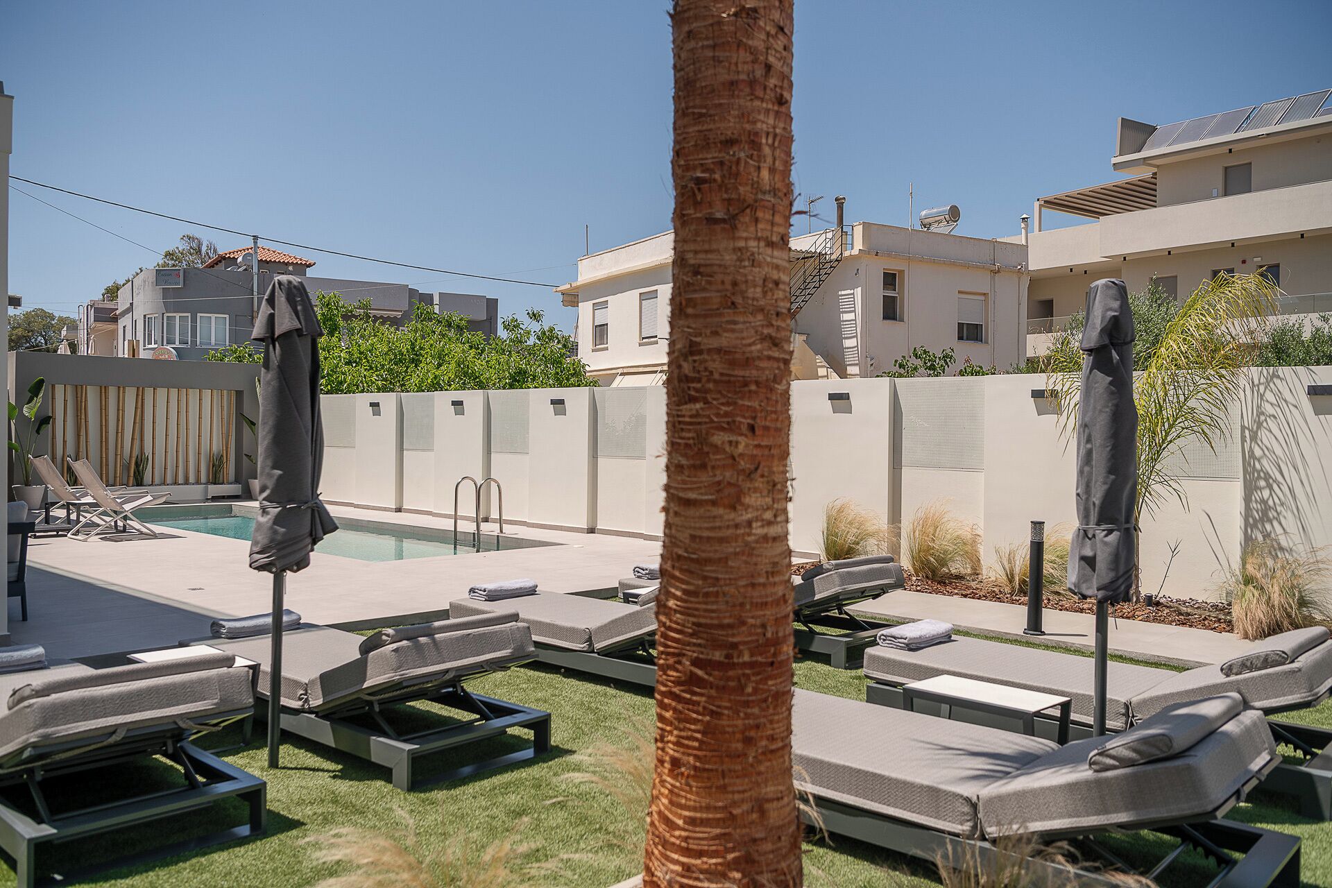 A poolside area with lounge chairs and a palm tree.