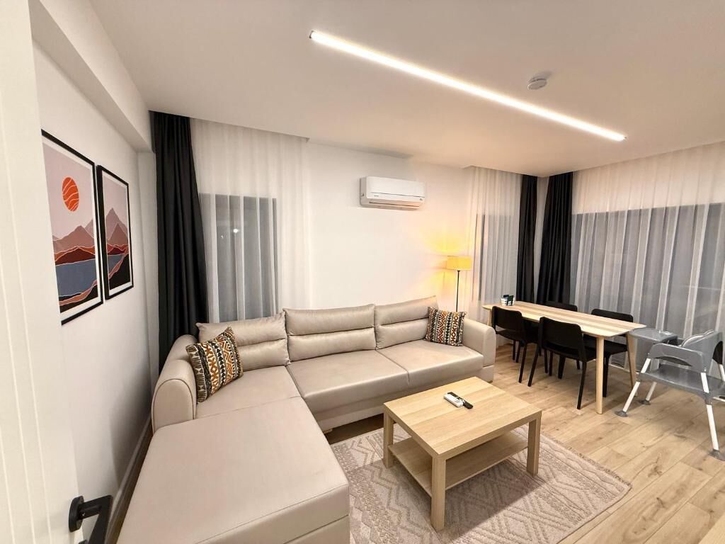 55 インチのスマートテレビ (衛星放送視聴可)