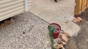 A patio area with a picnic table, a wooden fence, and a gravel ground. - Delta, Bromley 4-Bedroom Caravan (Uddingston)