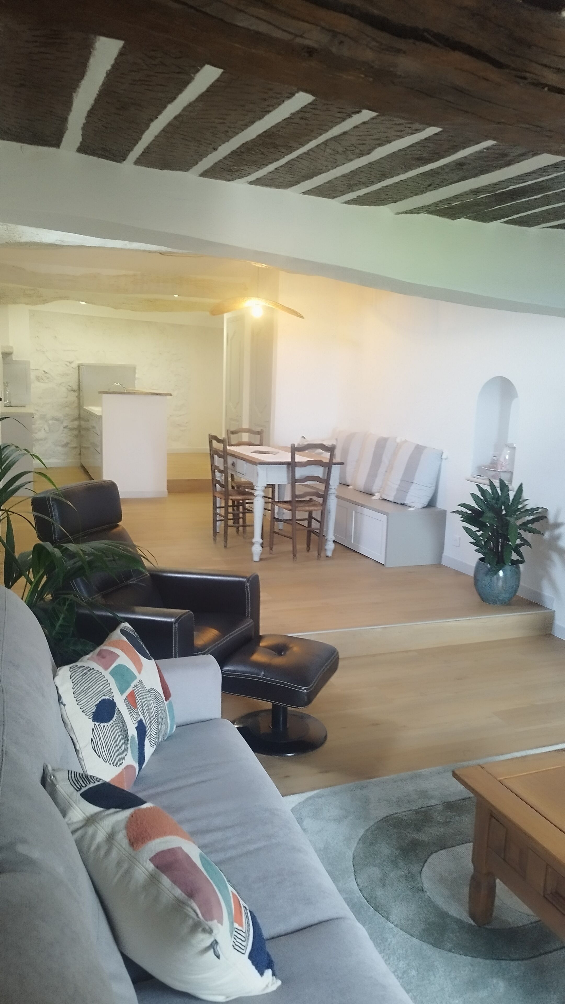 Un salon comprenant un canapé, une table basse, une table à manger avec des chaises, un banc et une plante en pot.