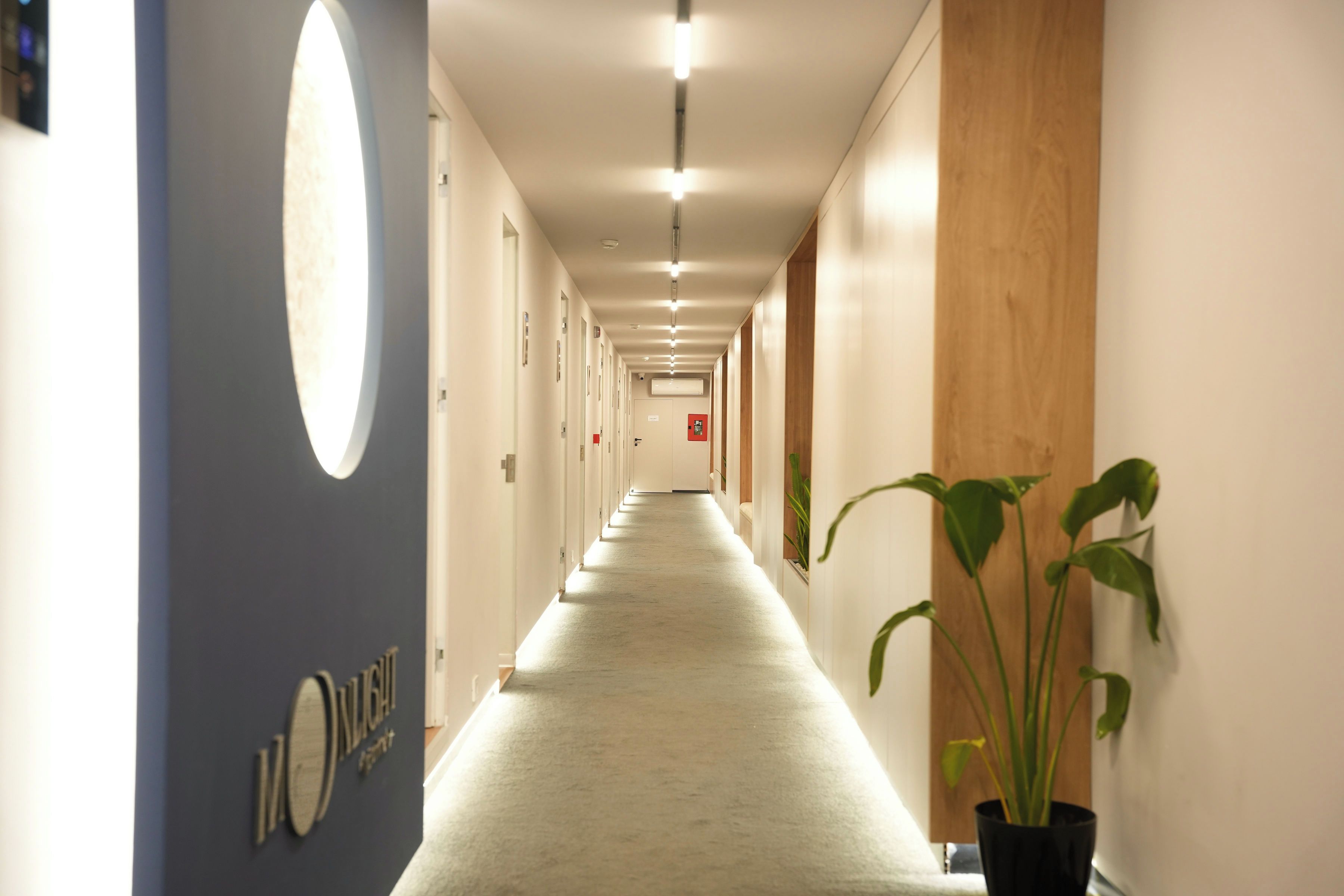 A hotel corridor with a long, straight hallway, doors on both sides, and a potted plant at the end.