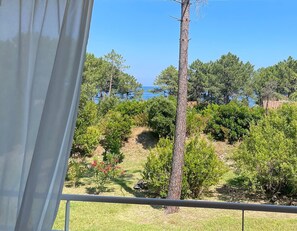 Property grounds - Studio 1 living room terrace sea view (Sari-Solenzara)
