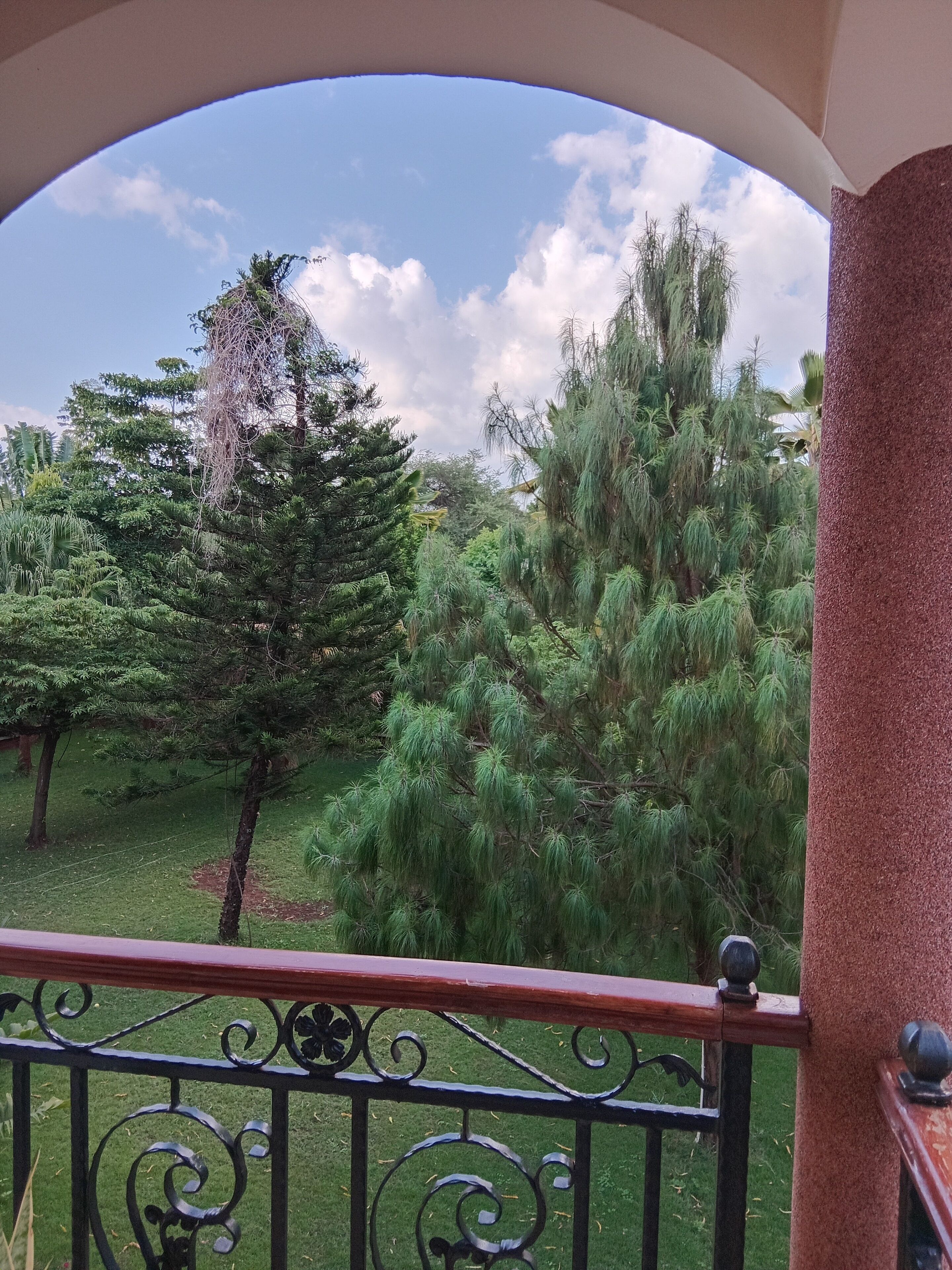 Ein Balkon mit Blick auf einen Garten mit verschiedenen Bäumen und blauem Himmel.