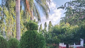 A well-maintained garden with various trees and a lawn. - KILIMANJARO PAZURI VILLAS(KPV) (Moshi)