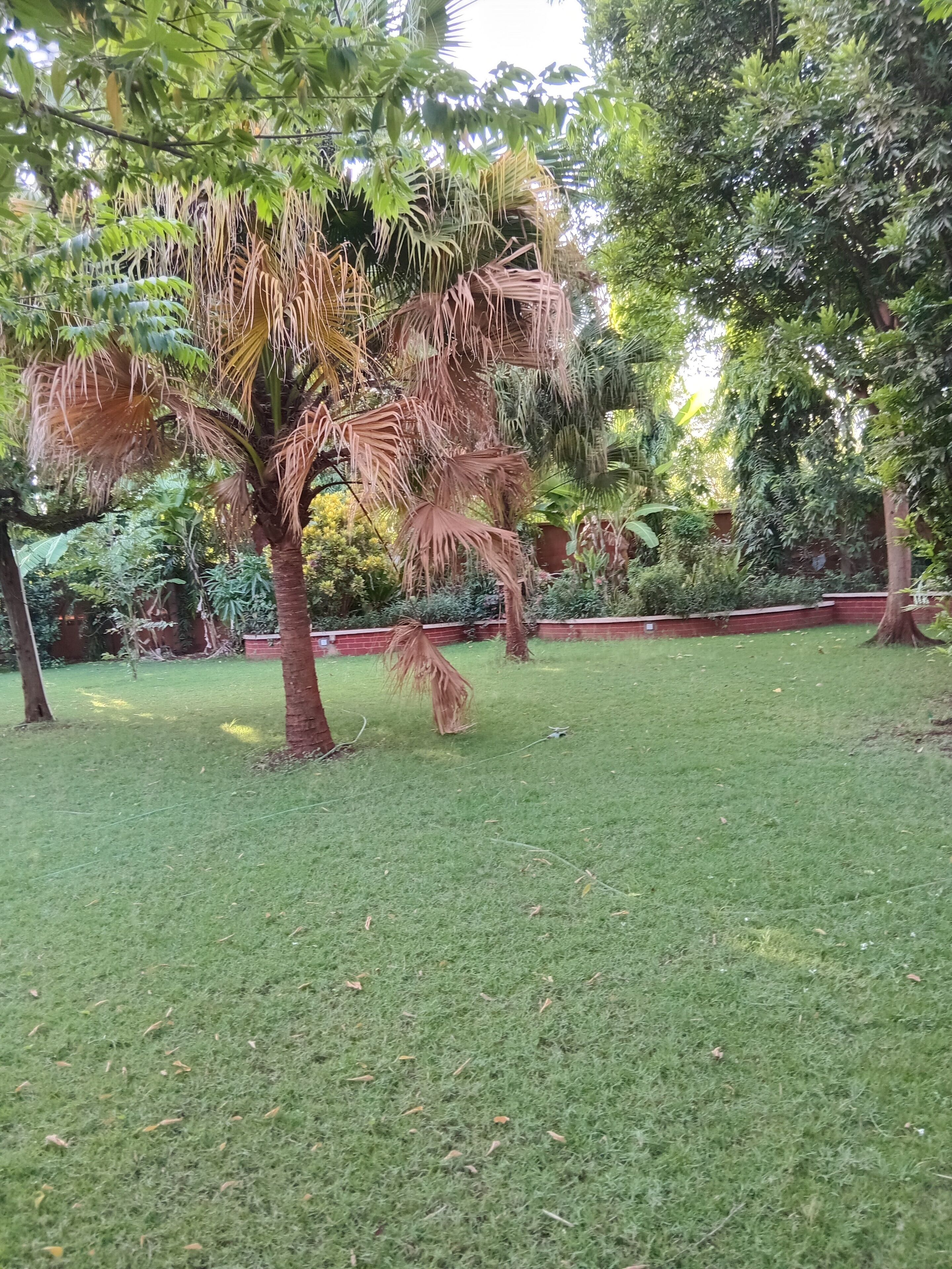 Overnatningsstedets område