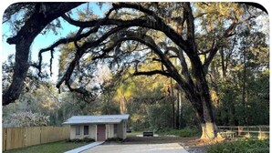 A single-story house with a front porch, a small shed, and a large tree with hanging moss.