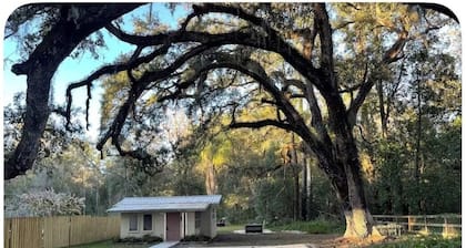 Cozy 1-bedroom cottage in peaceful Brooksville with AC