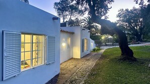 Un bâtiment moderne aux murs extérieurs blancs et aux volets, avec un chemin pavé et un grand arbre en arrière-plan.