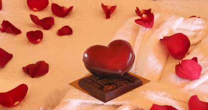 LE COCON DES CINQ SENS - L'insolite Finlandais