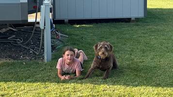 Huisdieren toegelaten