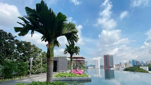 Una piscina en la azotea con el horizonte de la ciudad al fondo, rodeada de vegetación y palmeras.