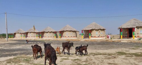 Rann Roshni Homestay – Family Friendly Stay in Kutch 6