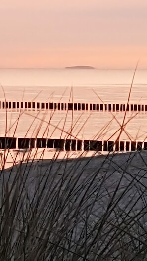 Vista costera con un muelle de madera que se adentra en aguas tranquilas, rodeado de hierba.