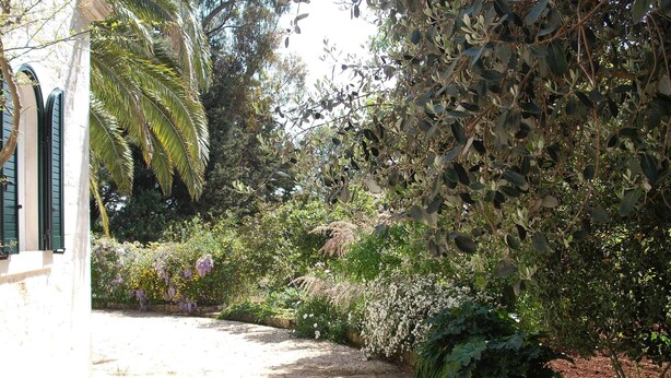 Un sendero de piedra serpentea por un exuberante jardín con diversas plantas y árboles.