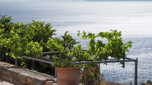 Eine Terrasse mit Blumentöpfen und Blick auf ein Gewässer.