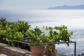 Garden - Villa Krissa (Agios Nikolaos)