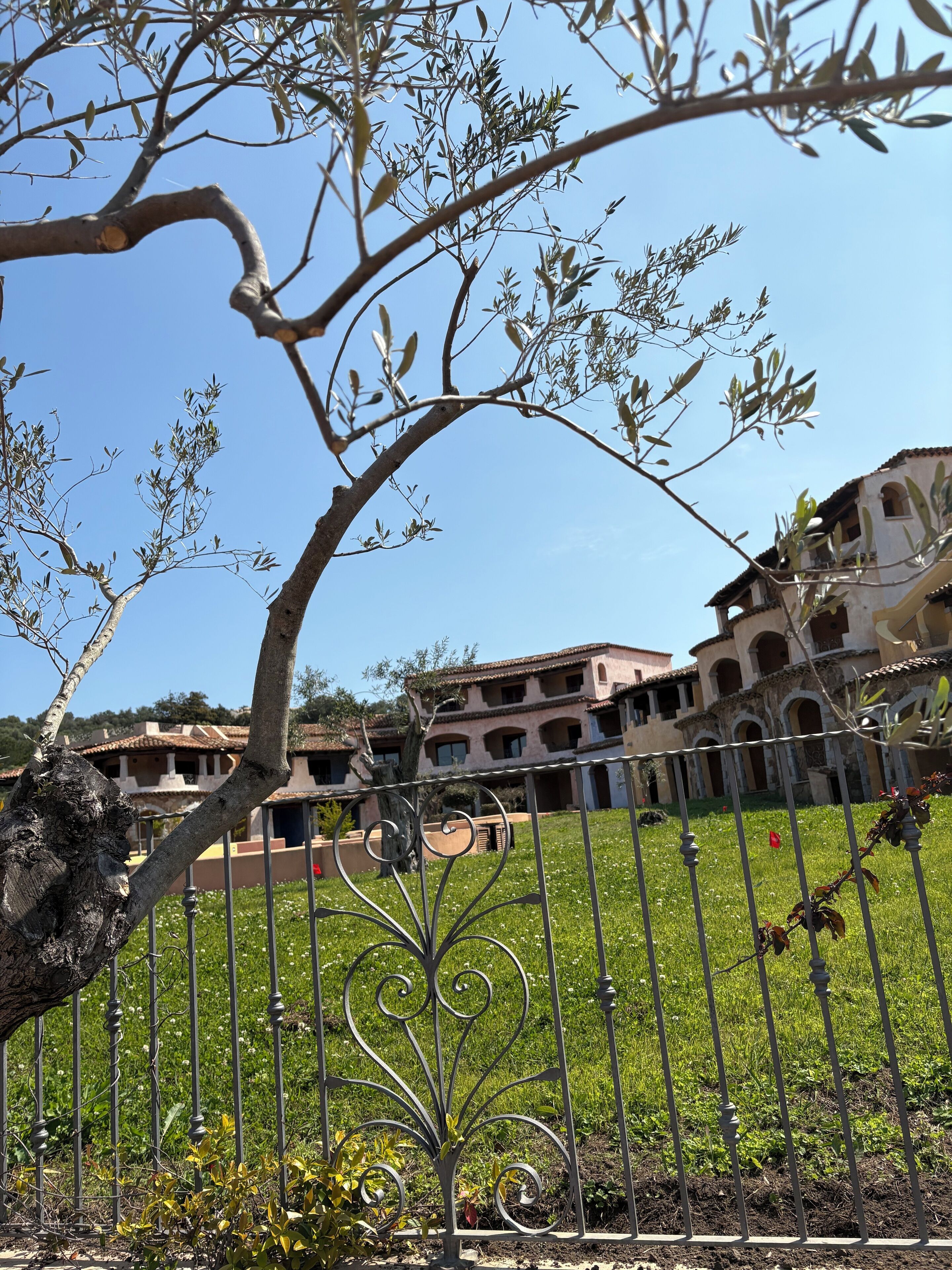 Parco della struttura