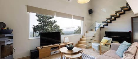 TV, fireplace, table tennis