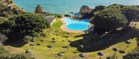 A pool surrounded by trees and umbrellas, with a view of the ocean.